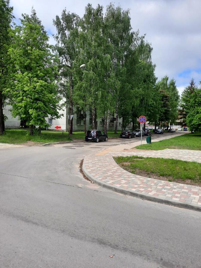 Luena Apartment Jelgava Exterior photo